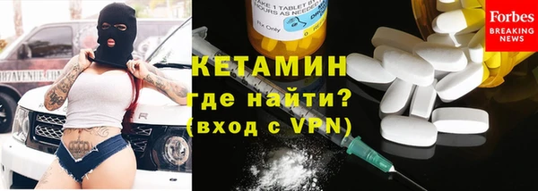 амф Гусь-Хрустальный