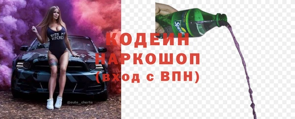 амф Гусь-Хрустальный