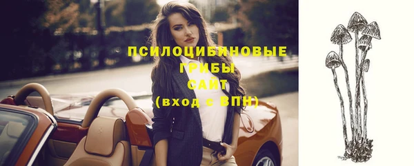 прущие крисы Дмитровск