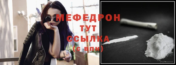 амф Гусь-Хрустальный