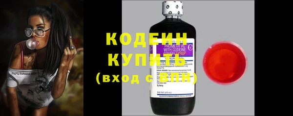 амф Гусь-Хрустальный