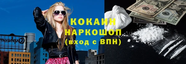 амф Гусь-Хрустальный
