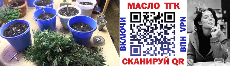 закладки  Болгар  Дистиллят ТГК THC oil 
