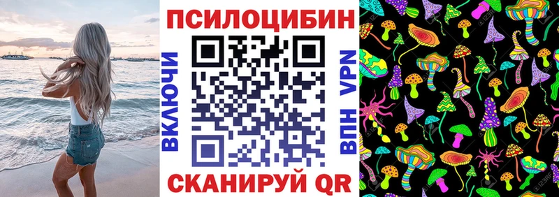 Псилоцибиновые грибы Cubensis  Болгар 